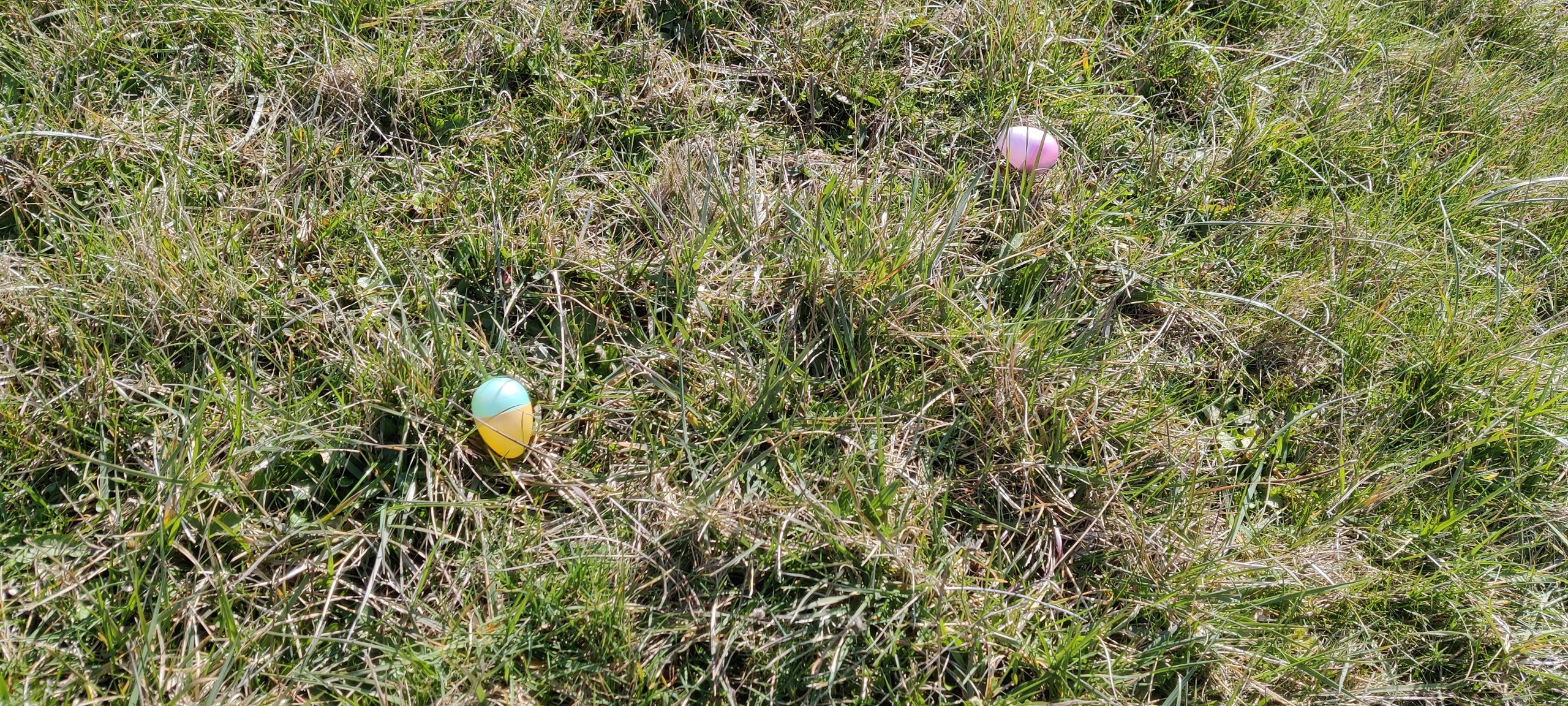 ostara Egg Hunt